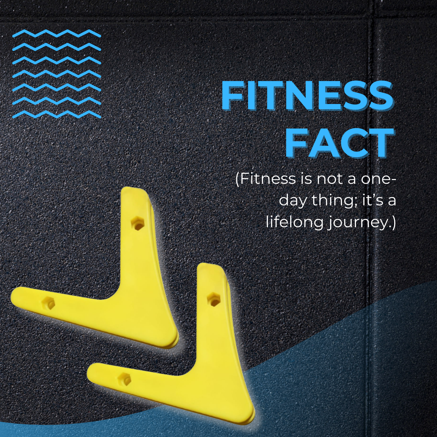 Gym Barbell Holder | Barbell Rack Wall Mount | Plastic Barbell Holder | Durable Plastic Barbell Holder for Home & Garage Gym | Olympic Bar Holder Wall Mount | Gym Barbell Holder Rack