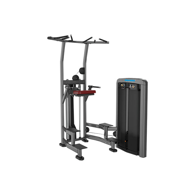 Inspired Fitness - Assist Dip Chin (RS-LT SERIES)