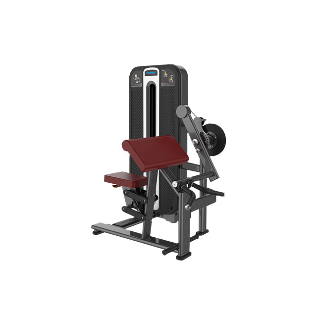 Inspired Fitness - Biceps Curl / Triceps Dip (RS-6 SERIES)