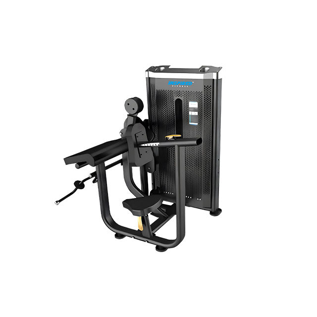 Inspired Fitness - Biceps Curl / Triceps Dip (DEZIRE SERIES)