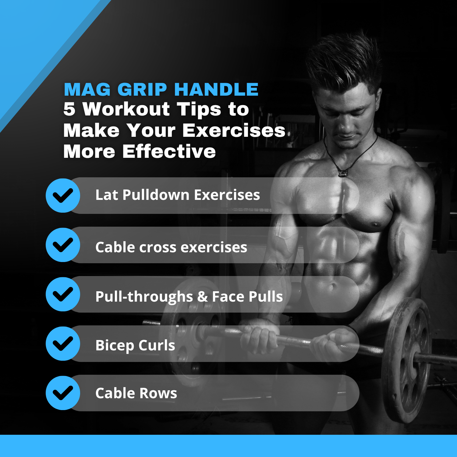 INSPIRED FITNESS Mag Grip Handle Attachment for Cable Machine – LAT Pulldown Mag Grip Set | Gym Mag Grip Bar for Back and LAT Pull Down Handle | Ergonomic Mag Grip