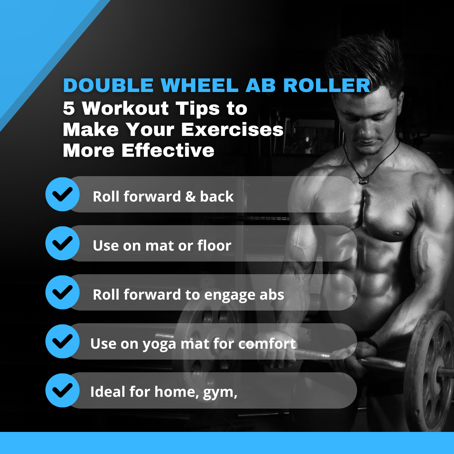 Ab Roller Wheel Dual Wheel | Ab Roller for Men and Women | Abs Exercise Roller for Gym | Ab Wheel with Strong Grip Handles | Ab Roller with Steel Rod | Workout Equipment for Home Gym (Blue)