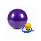 Exercise Gym Ball with Pump – 75cm Anti-Slip Balance Ball for Workout | Fitness Ball for Home Workout | Yoga Chair | Gym Ball for Back Pain – Gym Equipment for Home & Office.