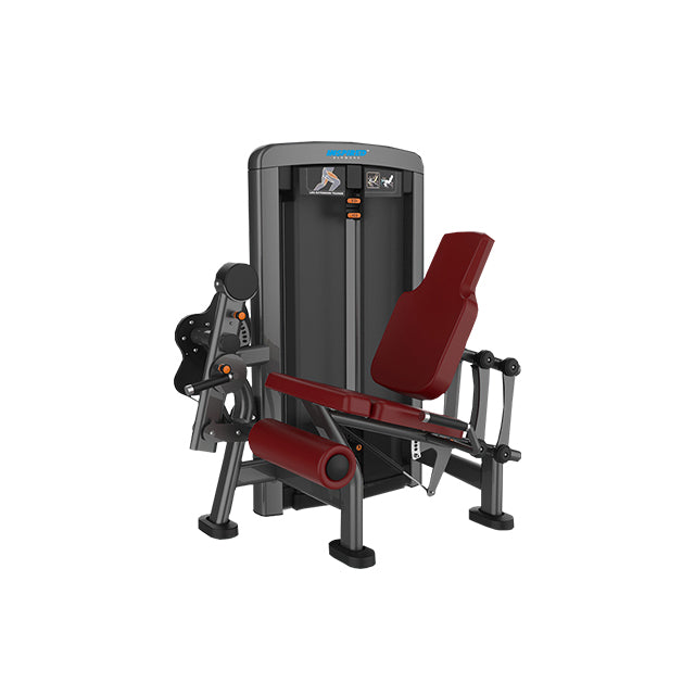 Inspired Fitness - Leg Curl / Leg Extension (RS-LT SERIES)