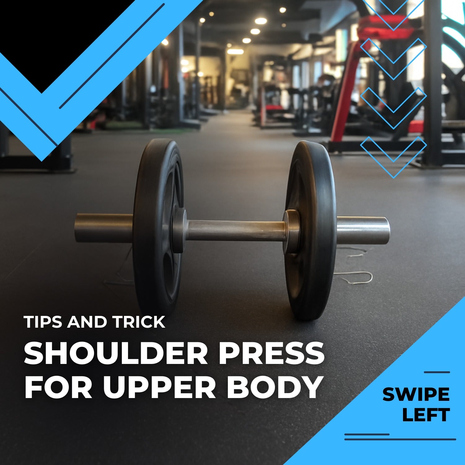 Olympic Dumbbell Rod