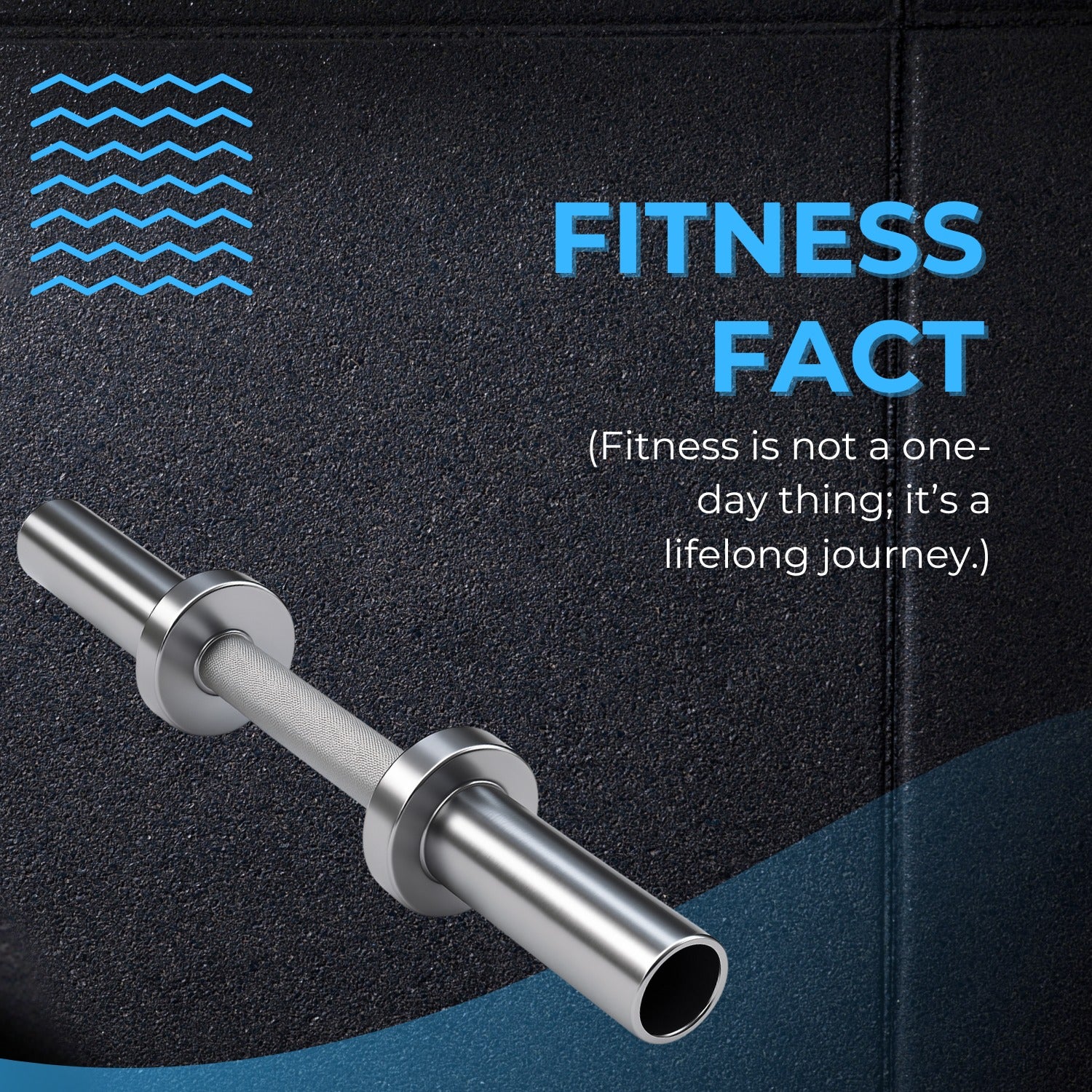 Olympic Dumbbell Rod